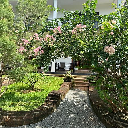 Into The Wild Sigiriya Hotel Buitenkant foto