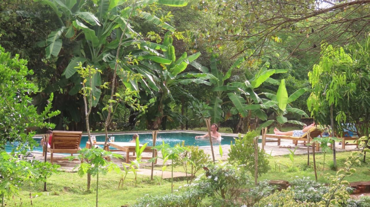 Into The Wild Sigiriya Hotel Buitenkant foto