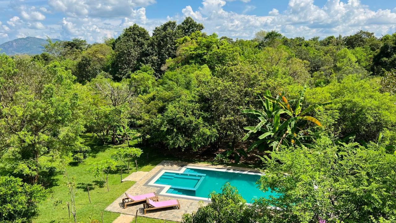 Into The Wild Sigiriya Hotel Buitenkant foto