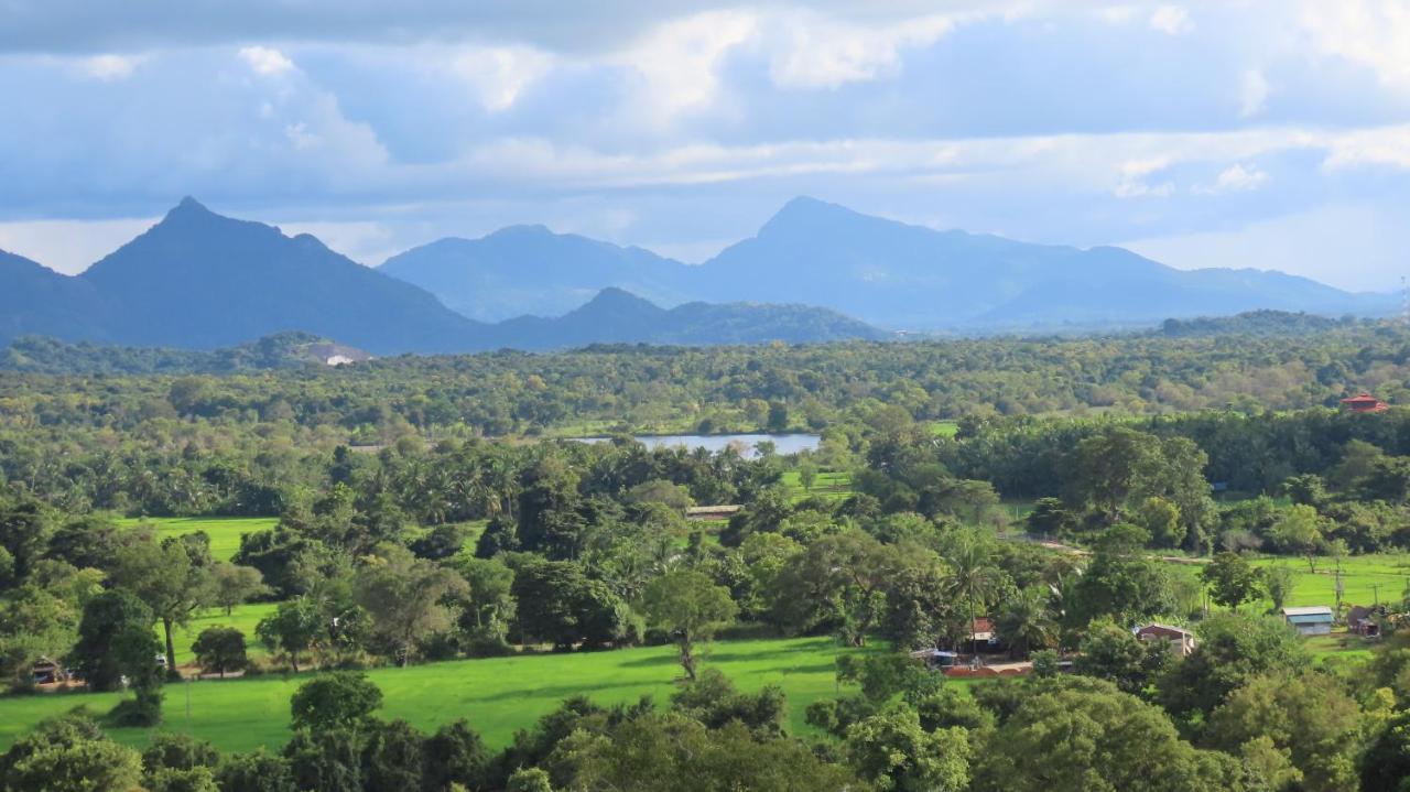 Into The Wild Sigiriya Hotel Buitenkant foto