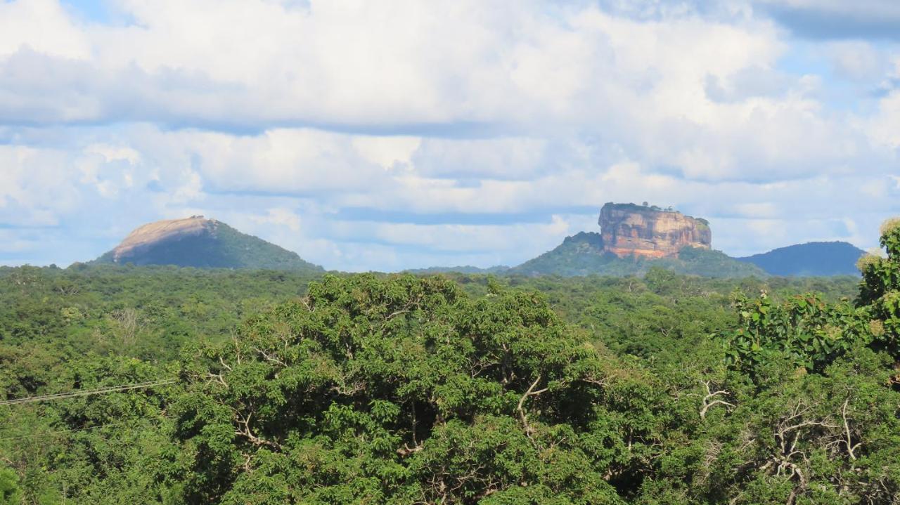 Into The Wild Sigiriya Hotel Buitenkant foto