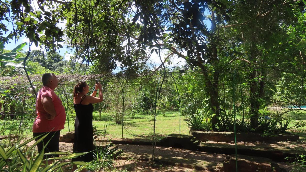 Into The Wild Sigiriya Hotel Buitenkant foto