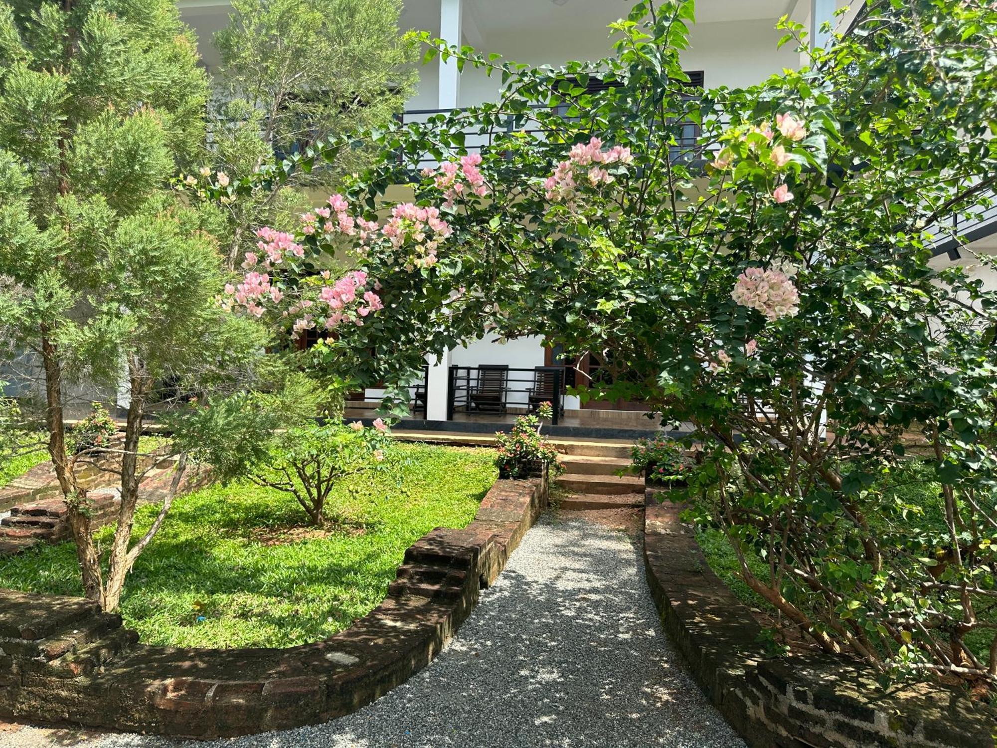 Into The Wild Sigiriya Hotel Buitenkant foto