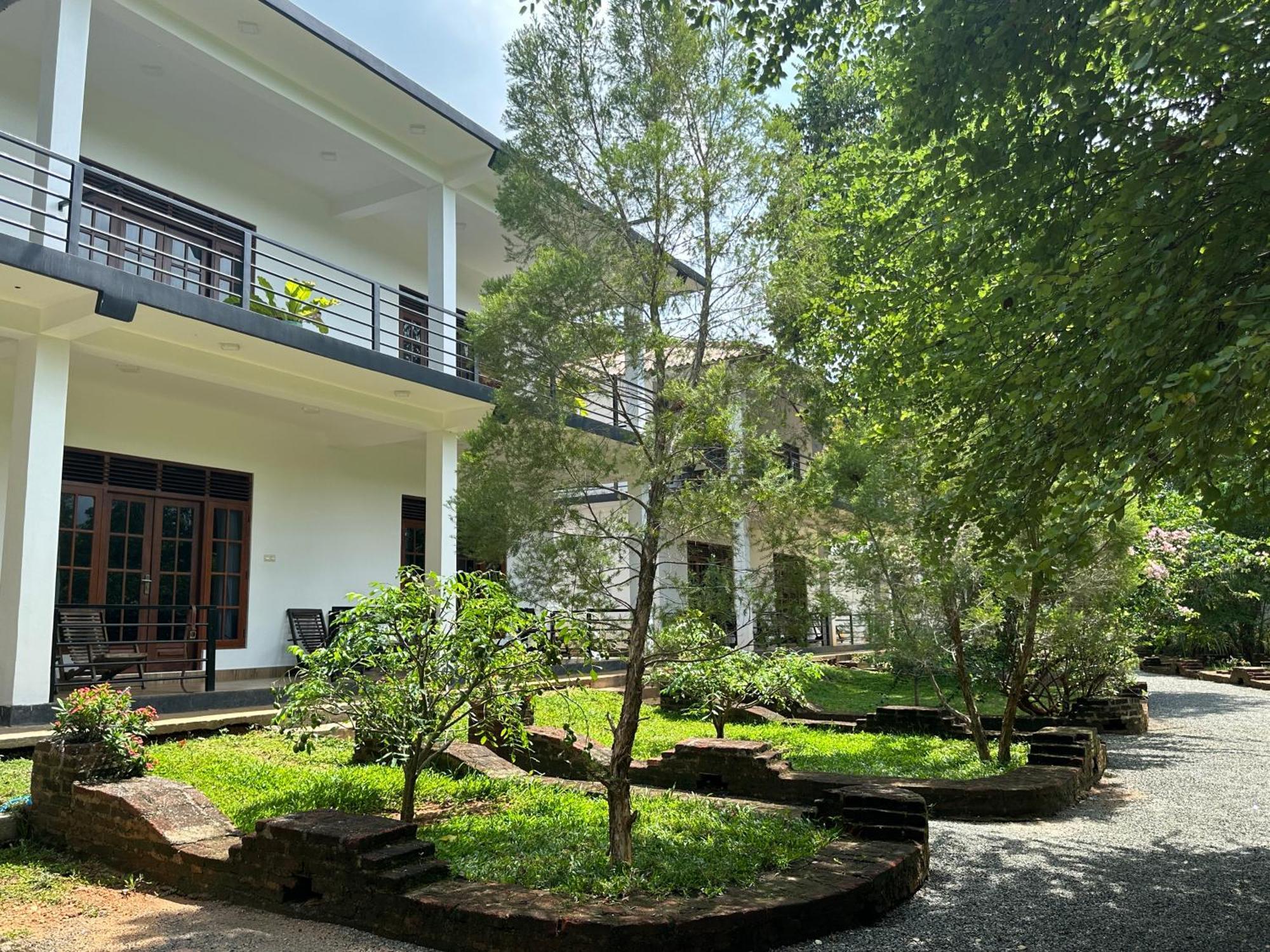 Into The Wild Sigiriya Hotel Buitenkant foto