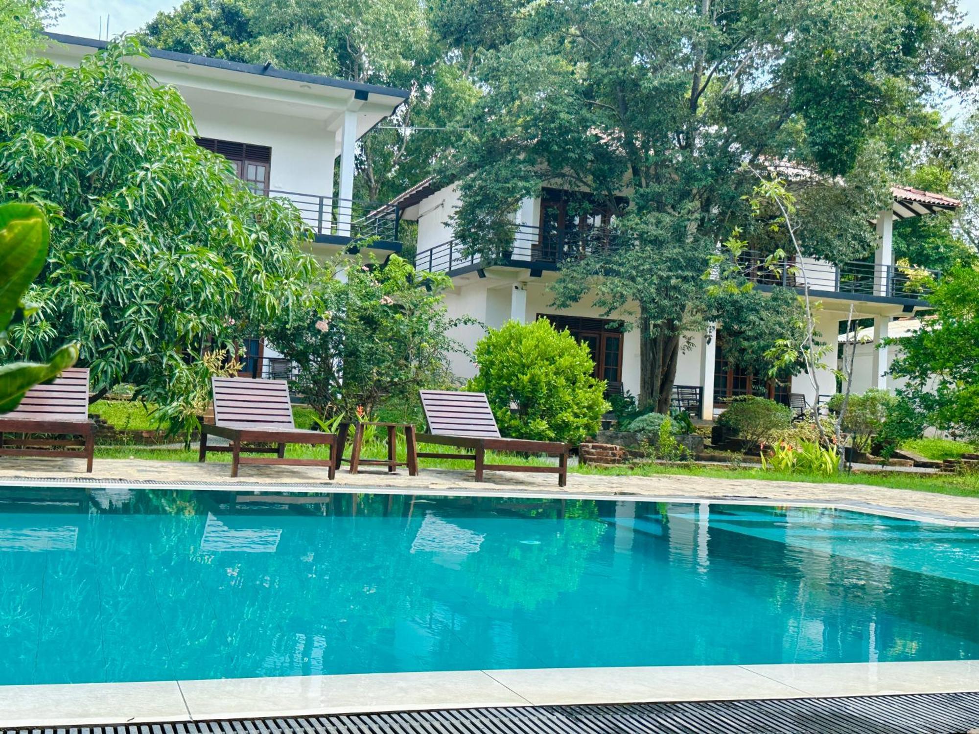 Into The Wild Sigiriya Hotel Buitenkant foto