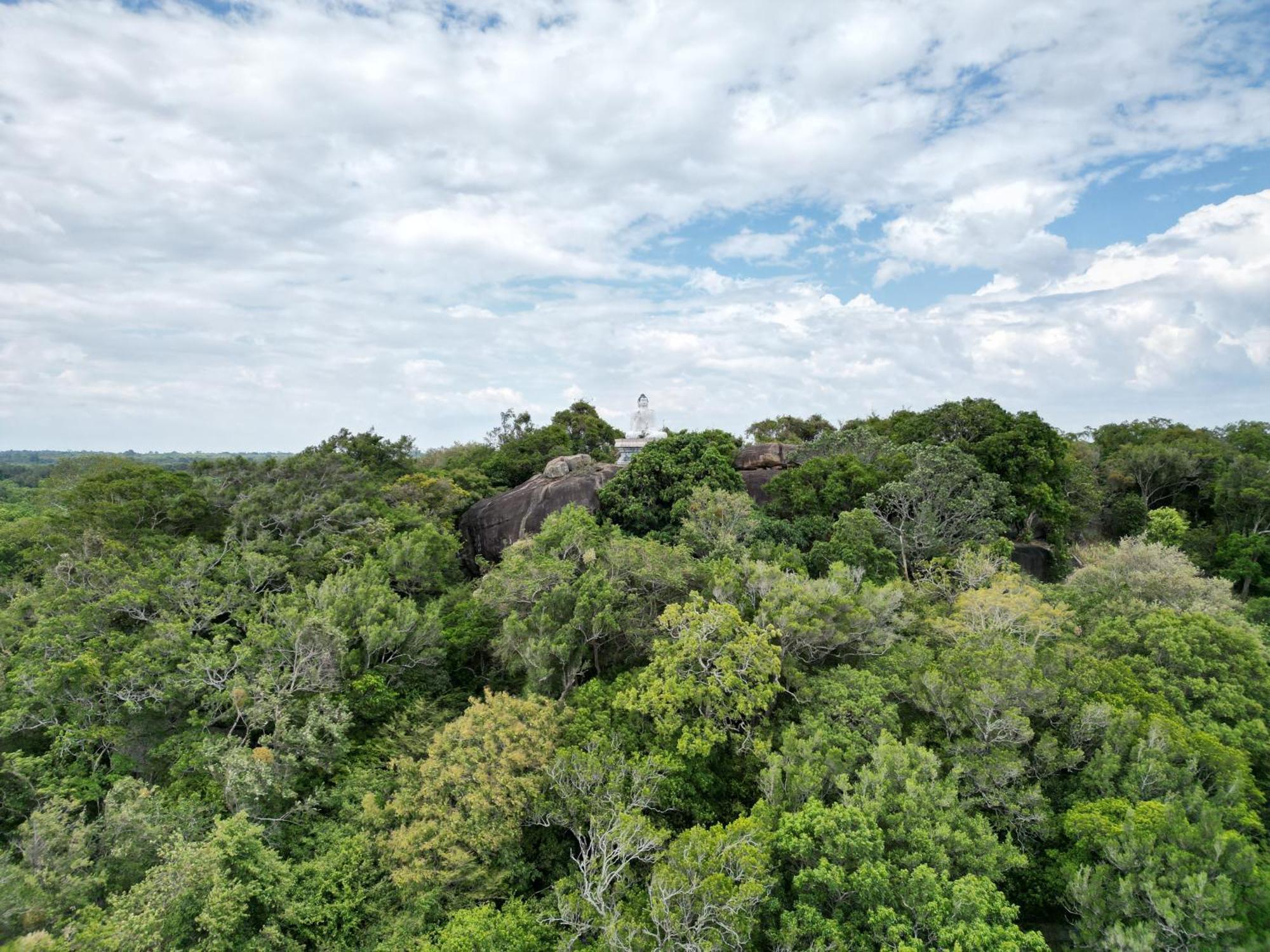 Into The Wild Sigiriya Hotel Buitenkant foto