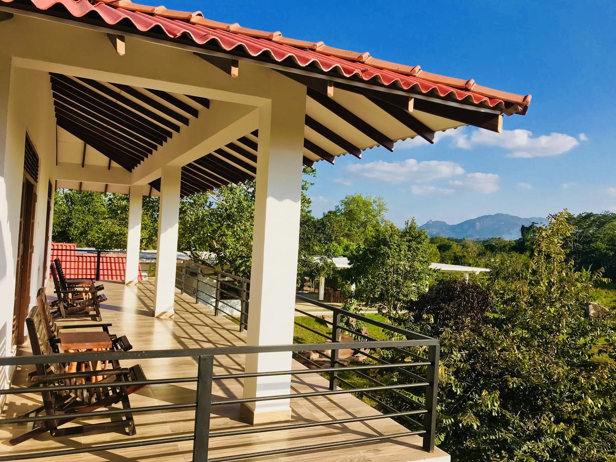 Into The Wild Sigiriya Hotel Buitenkant foto