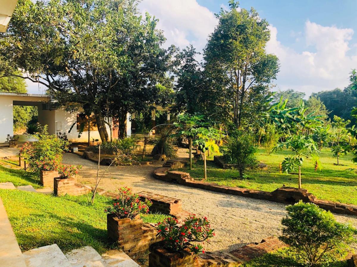 Into The Wild Sigiriya Hotel Buitenkant foto