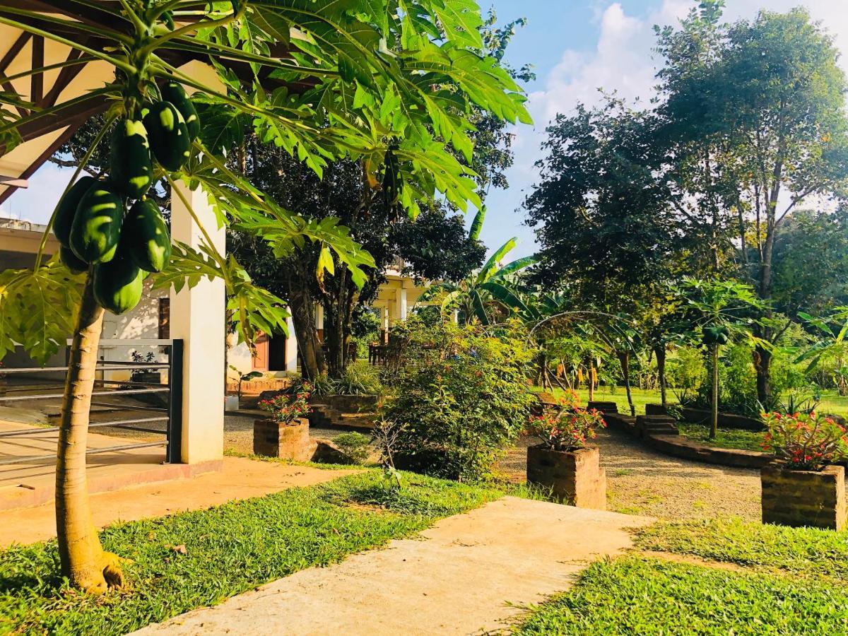 Into The Wild Sigiriya Hotel Buitenkant foto