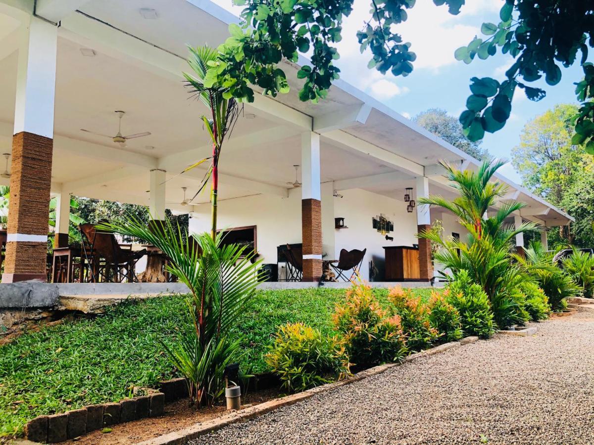 Into The Wild Sigiriya Hotel Buitenkant foto